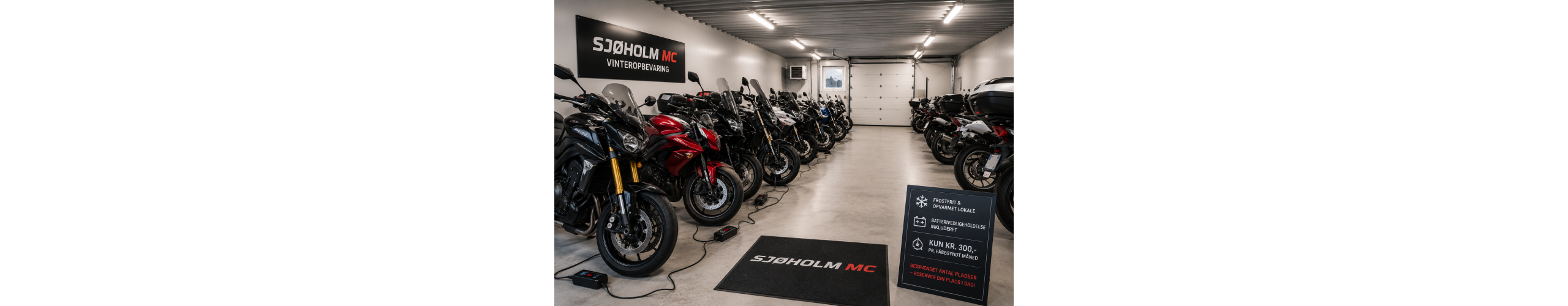 Vinteropbevaring af din motorcykel
