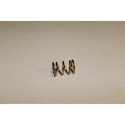 SPRING, THROTTLE STOP SCREW