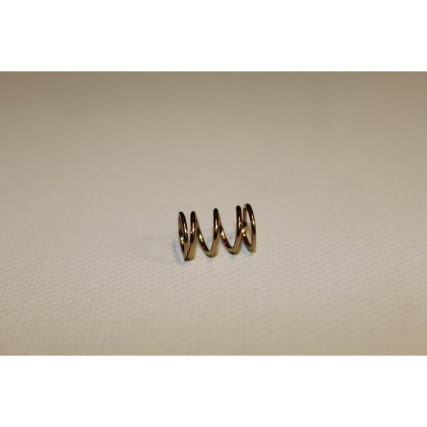 SPRING, THROTTLE STOP SCREW